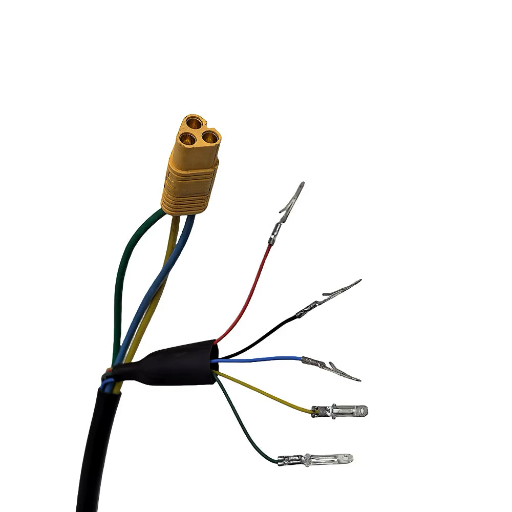 Kugoo G2 1000W Motor