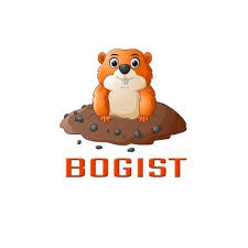 Bogist