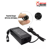 Silver fish Powerful charger 48V 