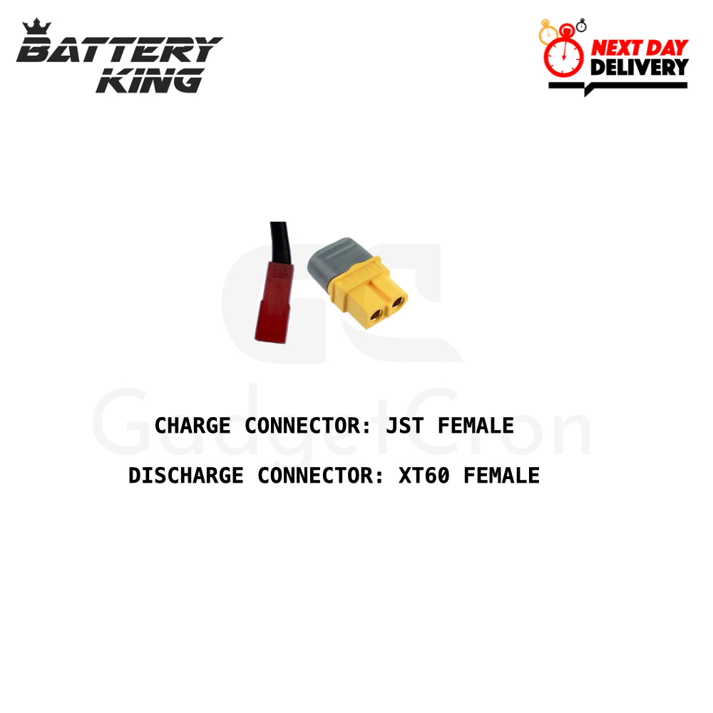 iScooter replacement battery 