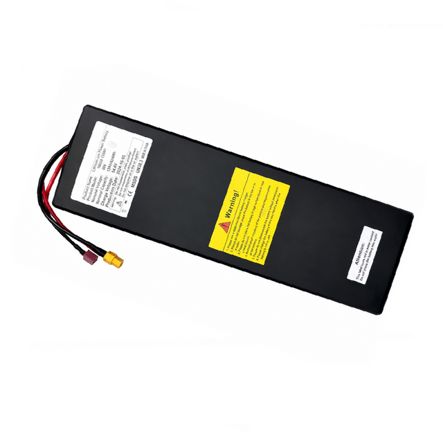 iscooter_battery